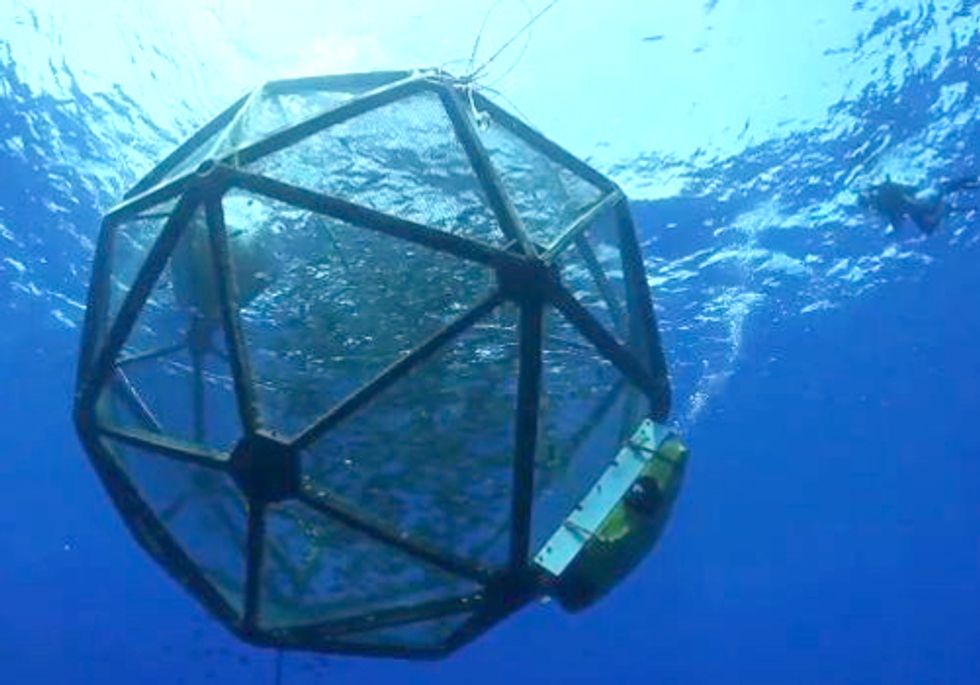 First Commercial Offshore Aquaculture Harvest in U.S. Raises Red Flags