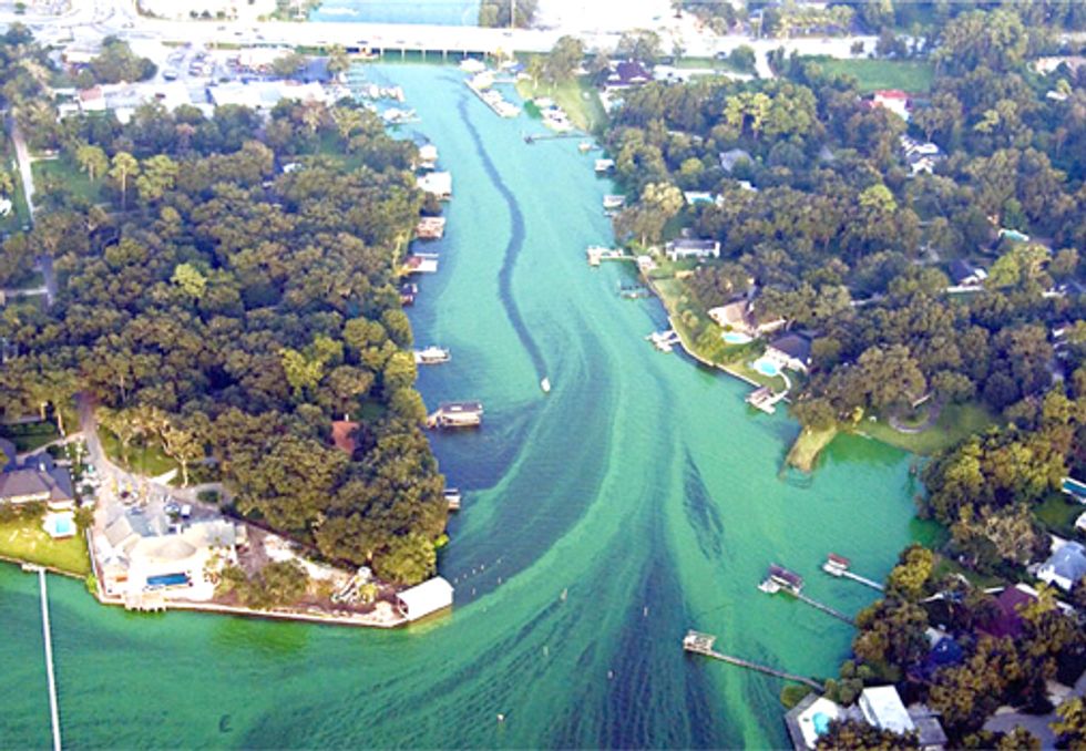 EPA Underestimated Number of Polluted Florida Streams, Lakes and Rivers