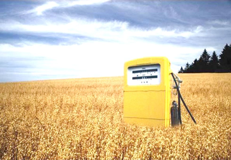 Four New Feedstocks Fail to Meet Renewable Fuel Standard for Biofuels