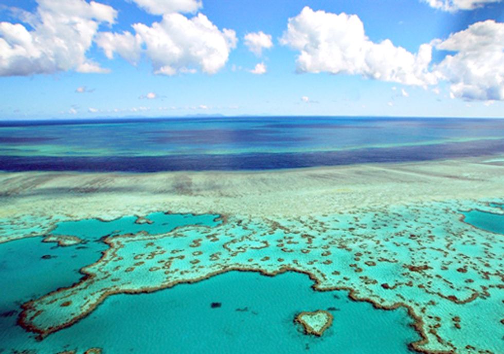 ACTION: Dredging Inside the Great Barrier Reef? Really?