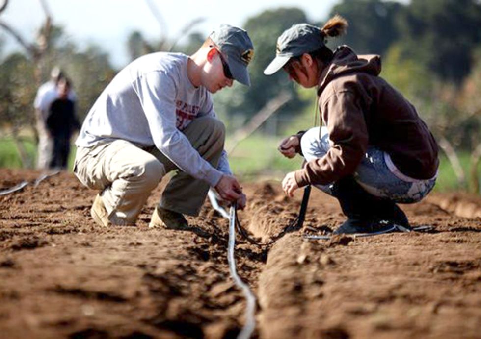Family Farmers Speak out on Capitol Hill