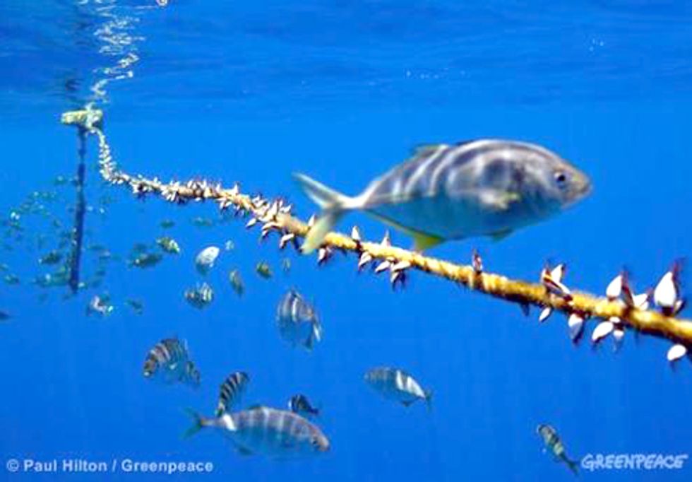 ACTION: High Stakes in the High Seas