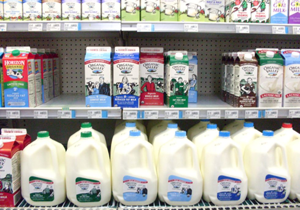 Organic Milk—Are You Getting What You Pay For?