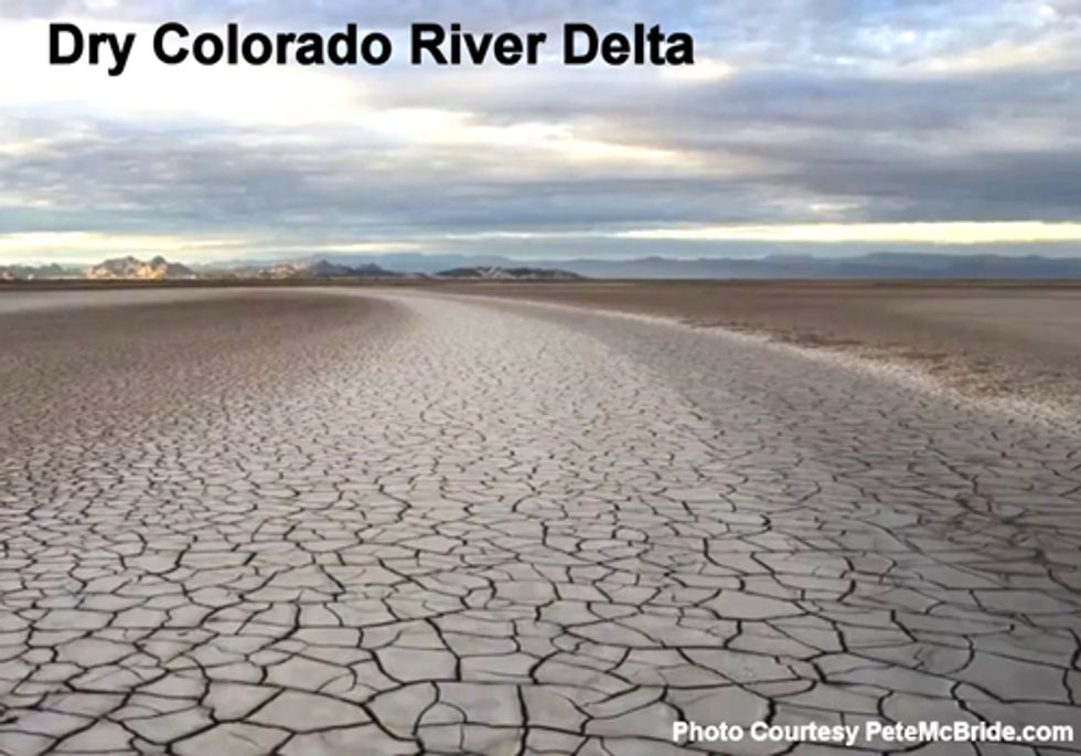 Binational Pact can Revive Colorado River Delta