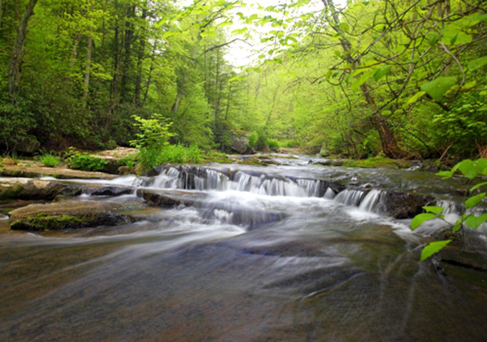 Potomac Riverkeeper Appeals Decision on Clean Water Act Permit