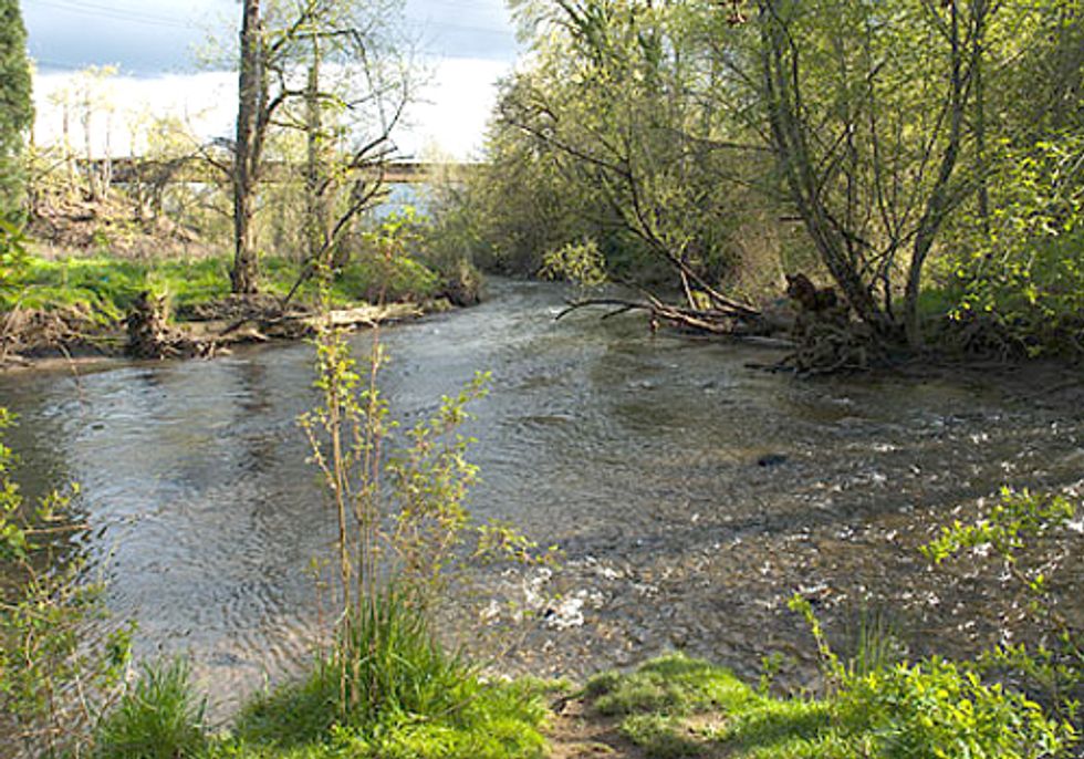 The Johnson Creek Watershed—An Oasis in the Urban Jungle