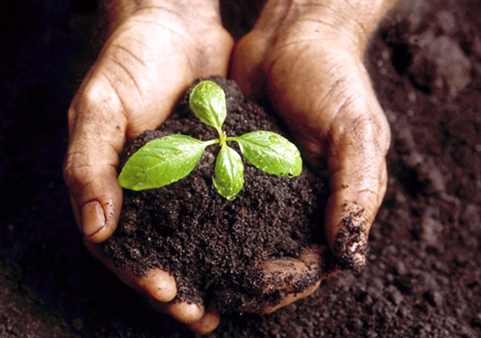 Farm Bill Reform Must Incentivize Sustainable Practices