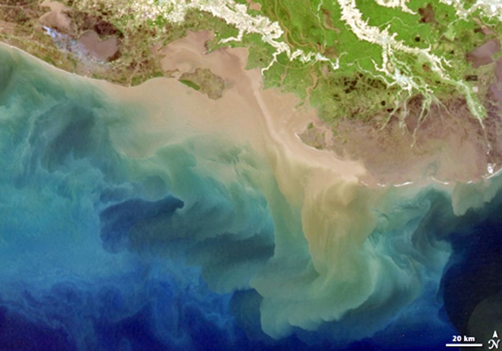 Gulf Watch—Dead Zone, Oil in the Food Chain and More Drilling Rigs