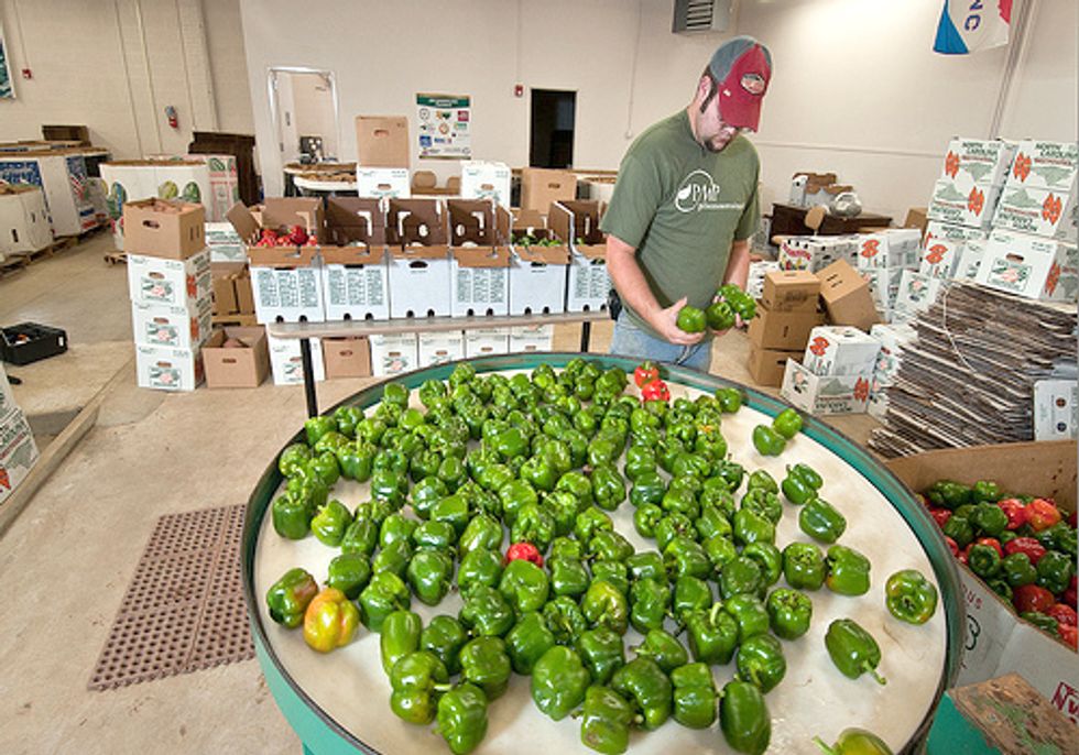 Farm Bill Platform Reflects Urgent Needs of Farmers and Food Entrepreneurs
