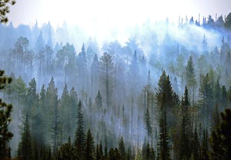 Sierra Club Applauds New Planning Standards to Protect National Forests