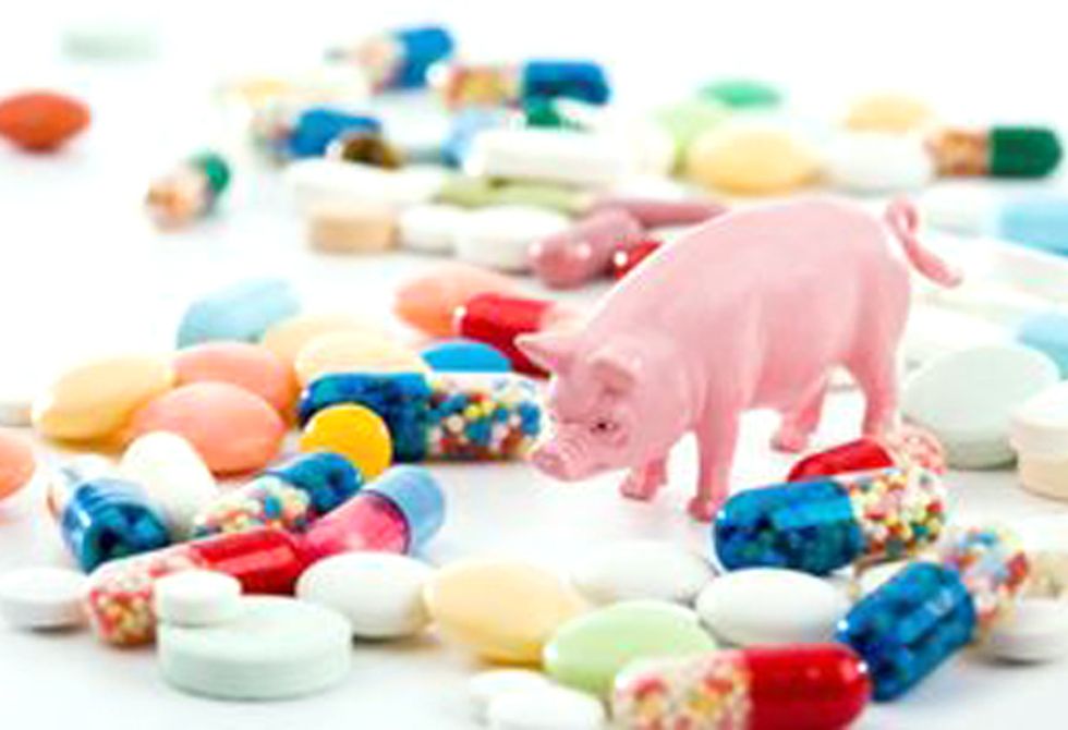 Court Orders FDA to Address Antibiotic Overuse in Livestock