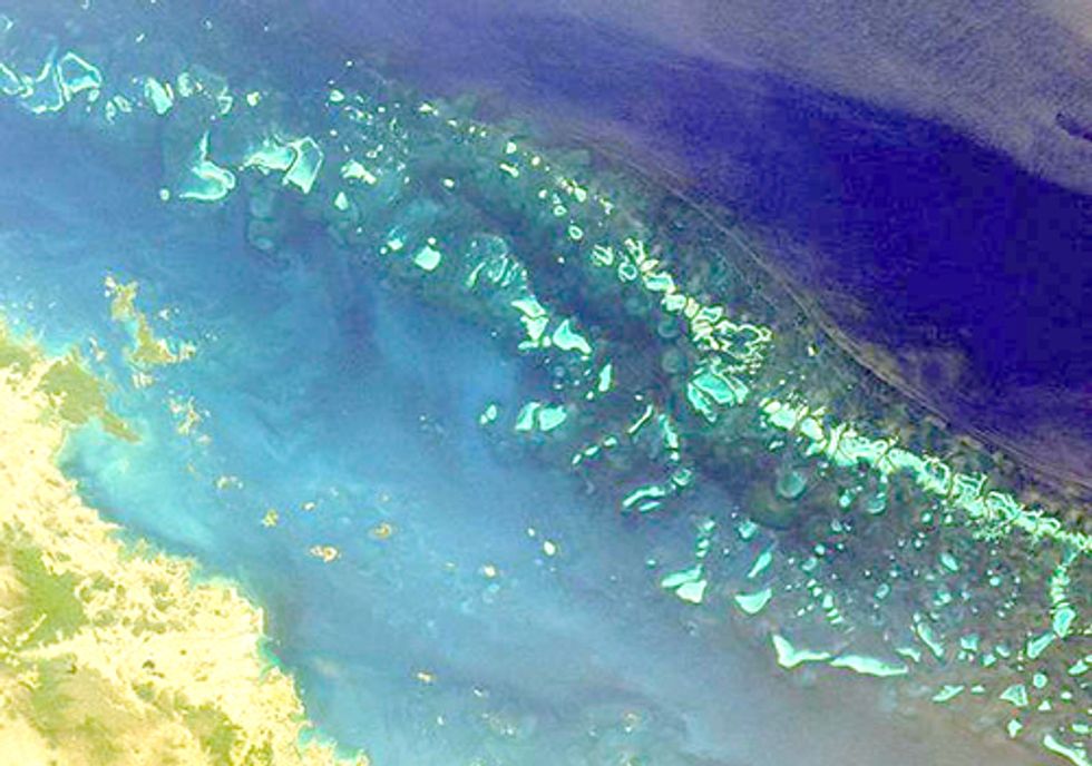 Multiple Stressors Pushing Ocean Ecosystems to the Brink