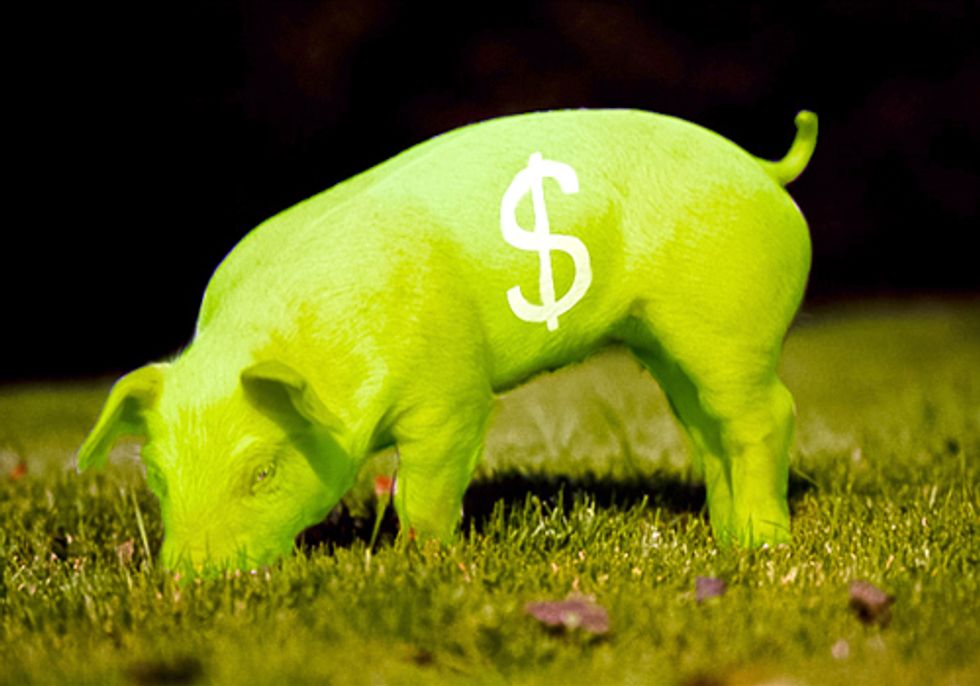 Canadian Hog Industry Abandons Genetically Engineered 'EnviroPig'