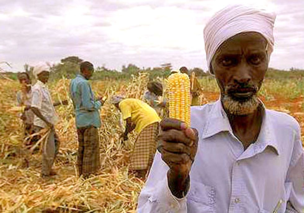 New Report Shows Opposition to Monsanto Growing Worldwide
