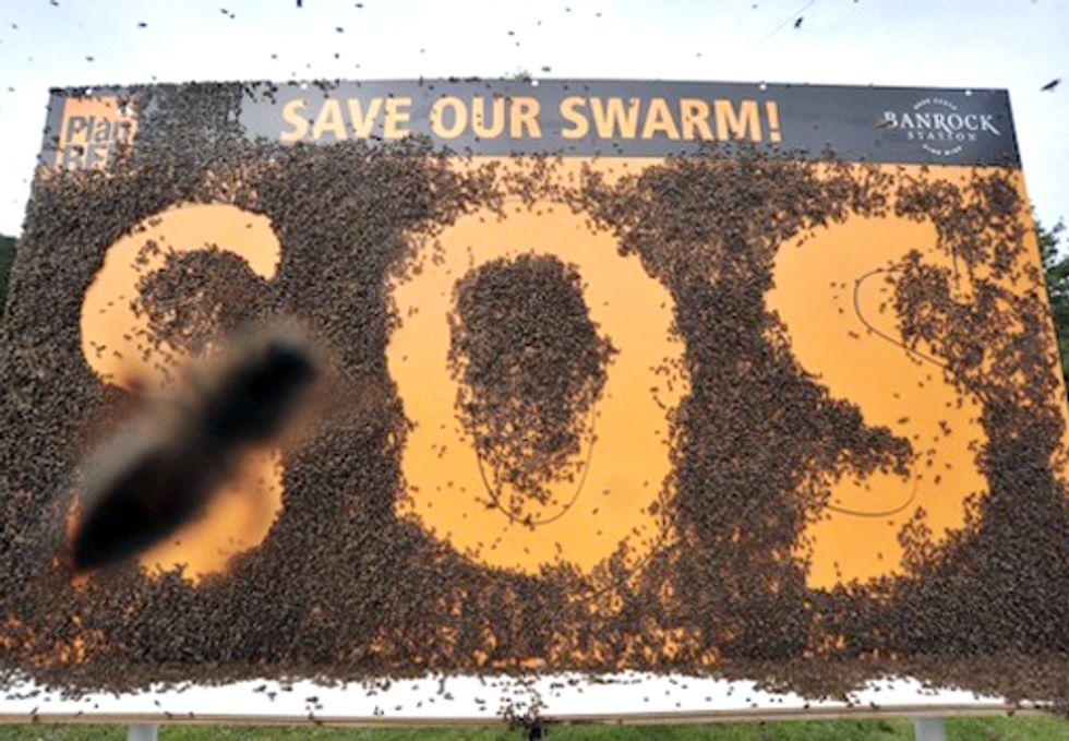 ACTION: EPA Must Act Now to Protect Honey Bees