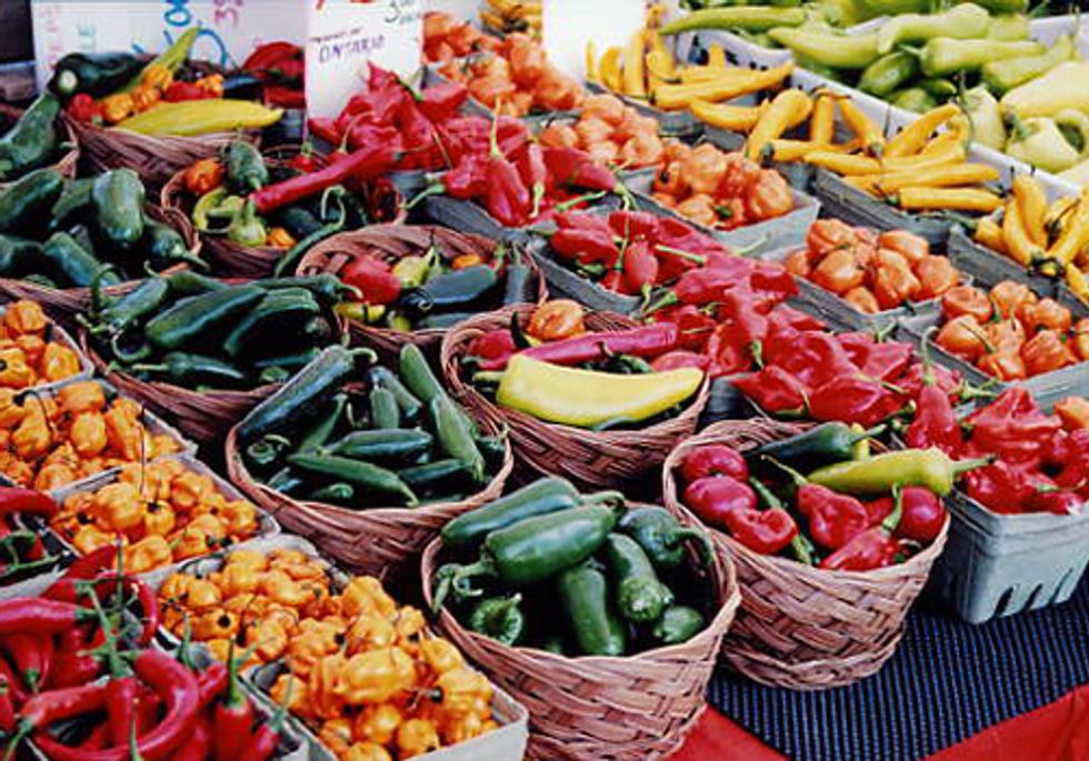 Linking Urban Waste with Local Food Systems