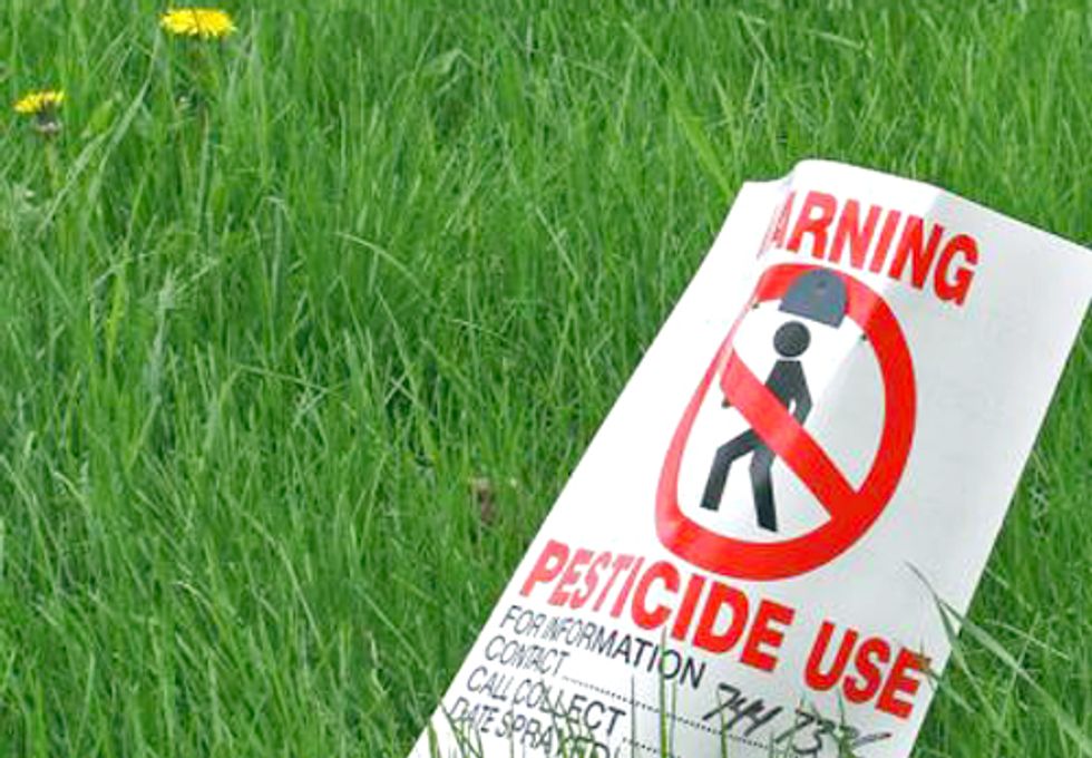 Common Pesticides Associated with Lower Birth Weight and Shortened Pregnancy