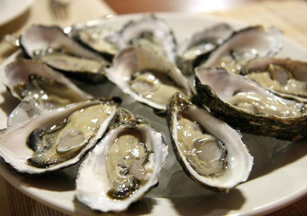 Study Links Massive Oyster Die-offs in Northwest to Ocean Acidification