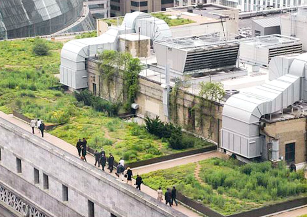 Green Infrastructure Helps Communities Thrive