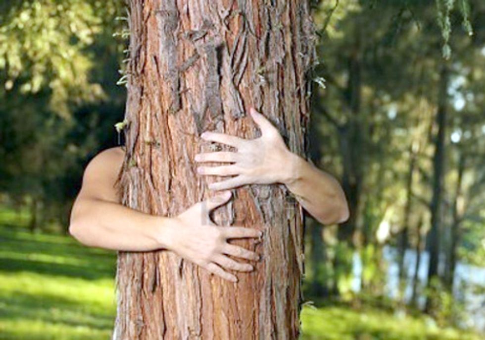 Illegal Logging Threatens Economies as Well as the Environment