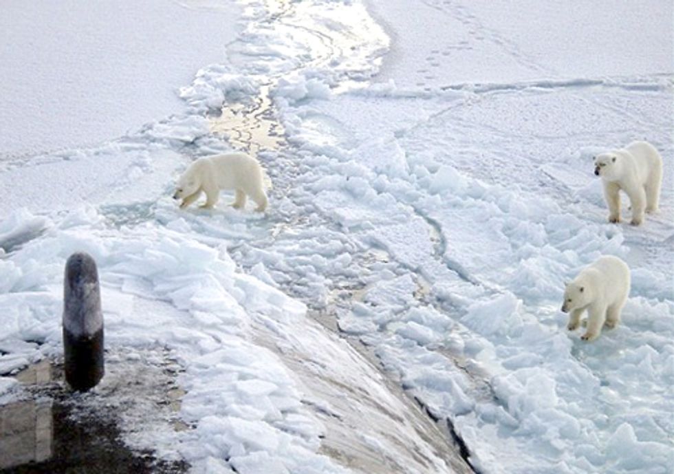 Lloyds Warns of Arctic Drilling Risk