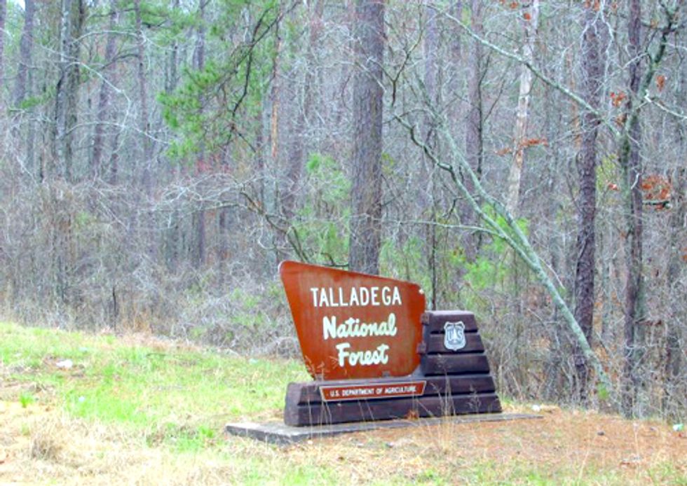 Groups Unite to Stop BLM from Selling Out Federal Lands for Fracking