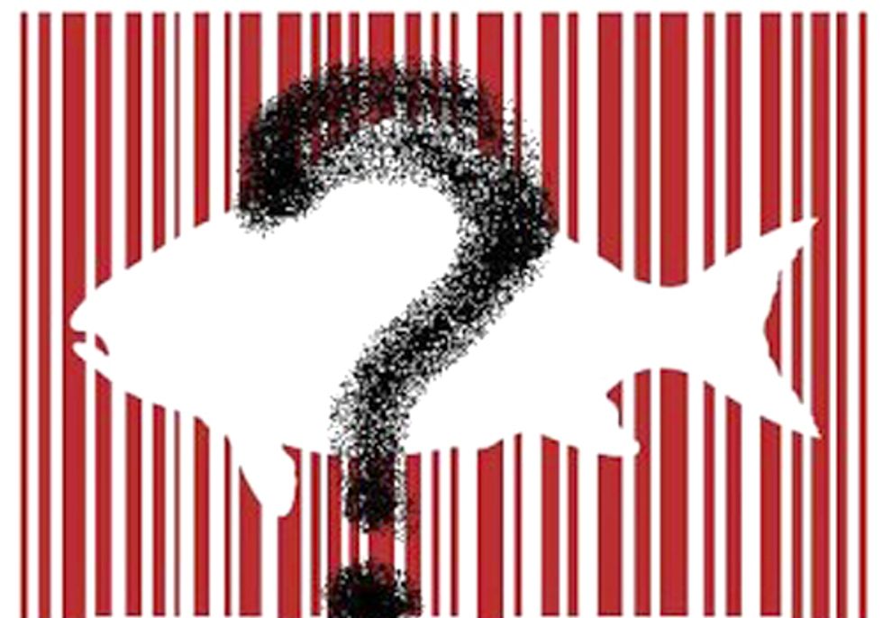 Investigation Finds Rampant Mislabeling of Seafood