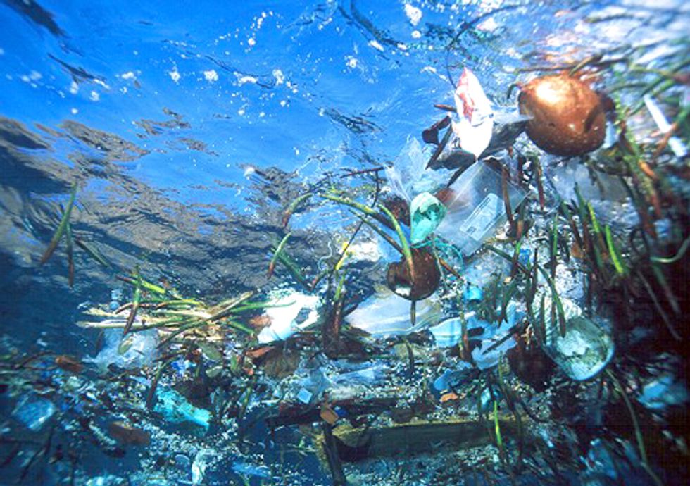 Three Environmental Stories not Told