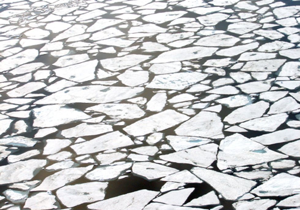 Scientists Urge Protection of Newly Open Arctic Fisheries