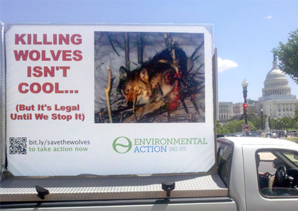 Rolling Ad Confronts Politicians with the Face of Wolf Killing