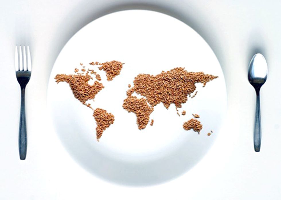 Royal Society Study Shows Profound Challenges of Population and Consumption