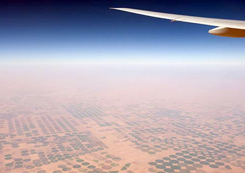 Arab Grain Imports Rising Rapidly