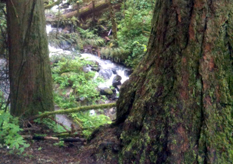 River Rally 2012—The Largest International Gathering of Water Protection Advocates