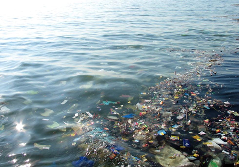 Plastic Trash Is Altering Ocean Habitats in Unexpected Ways