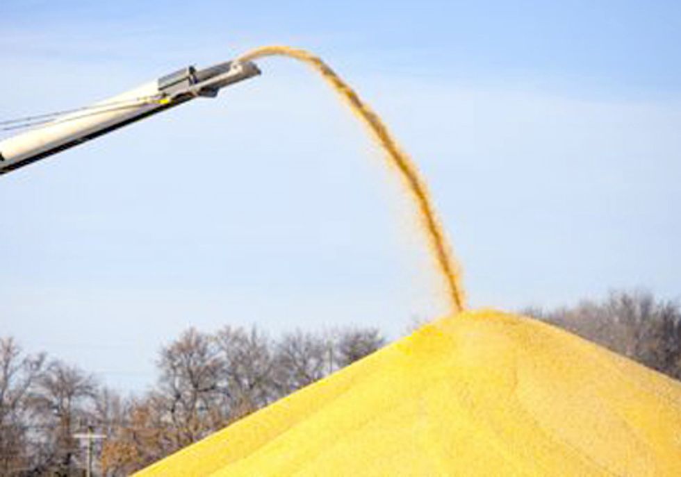 Lawmakers Call on FDA for Action on Antibiotics in Ethanol Production