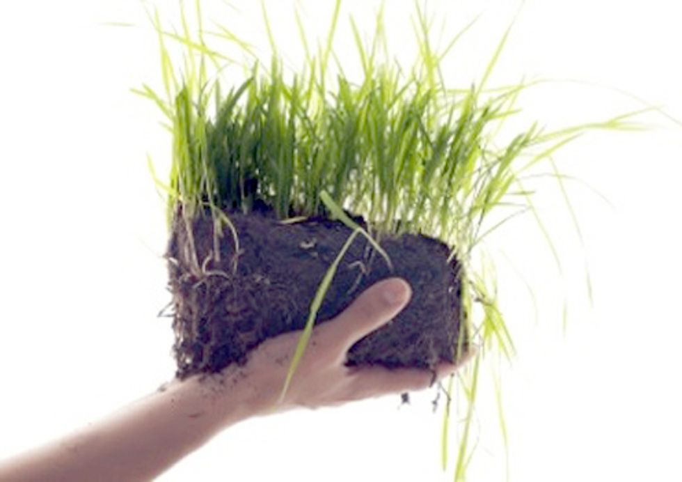 NRDC Announces the Winners of the 2012 'Growing Green Awards'