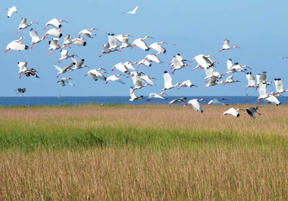 Louisiana Legislature Approves State’s 2012 Coastal Master Plan