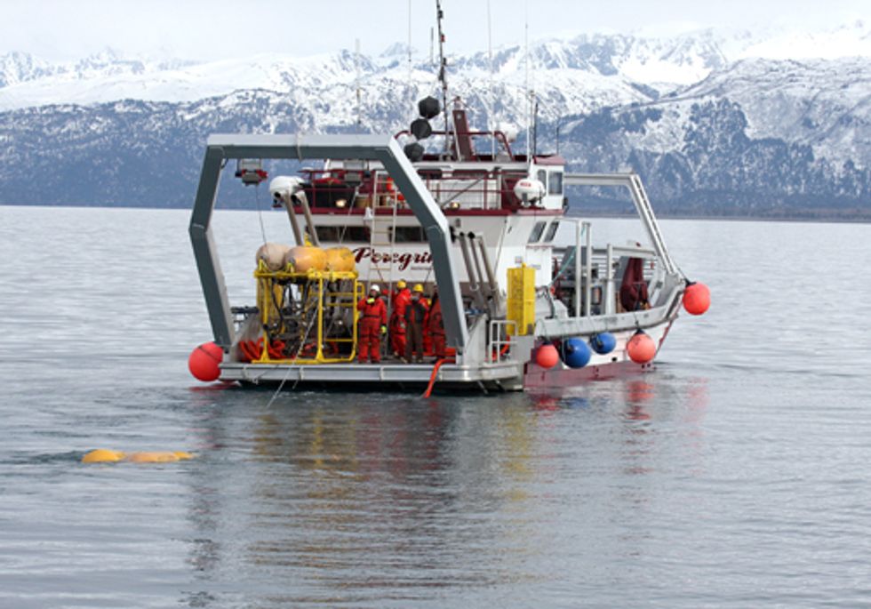 Shared Outrage against a Licence to Kill in Pursuit of Oil
