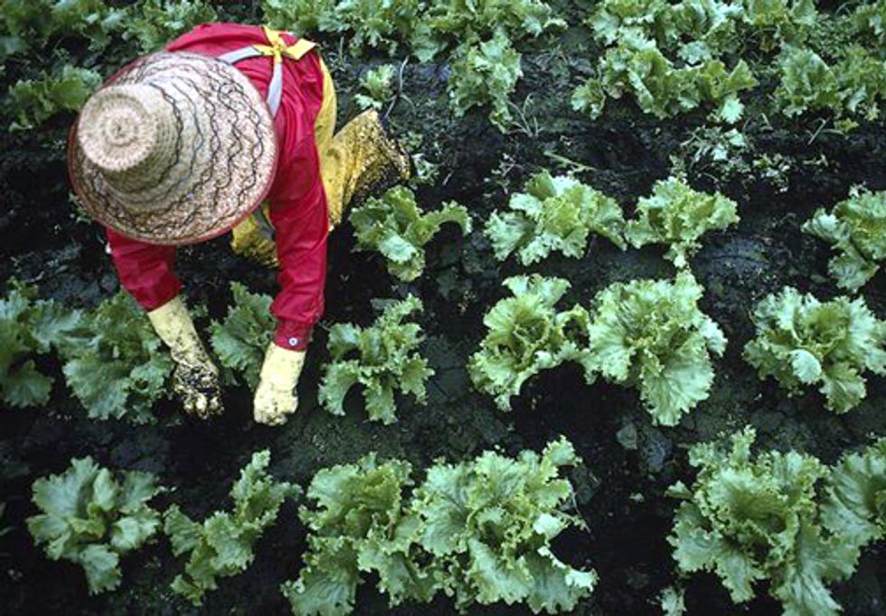 Fixing the Broken Food System Will Improve Human and Environmental Health