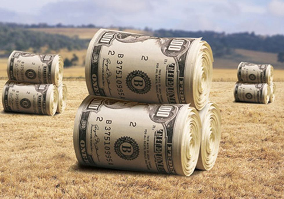 Congress Doesn't Want You to Know Which Farm Operations You're Subsidizing