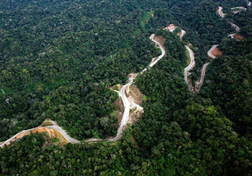 Highway through Amazon Worsens Effects of Climate Change and Provides Mixed Economic Gains