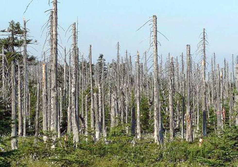 Conservation Groups Take Action against EPA's Inability to Combat Acid Rain