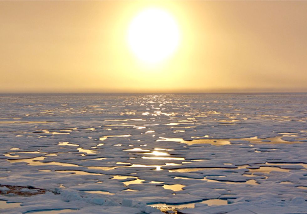Unprecedented Discovery of Ocean Plant Life in Arctic Raises Serious Questions about Climate Change