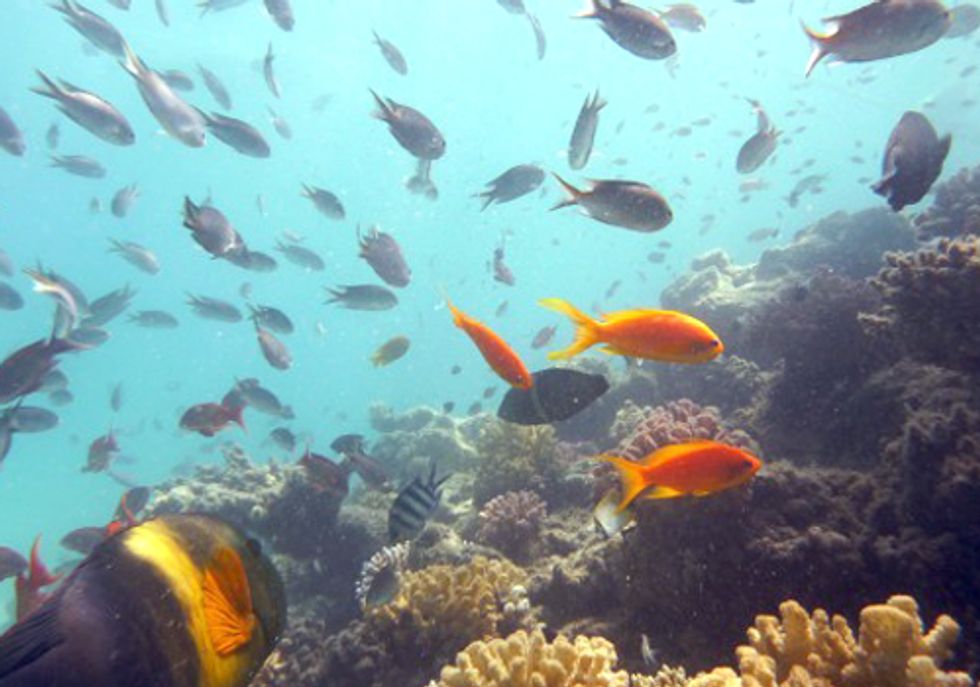 Study Finds Ocean Warming Is Largely Man-Made