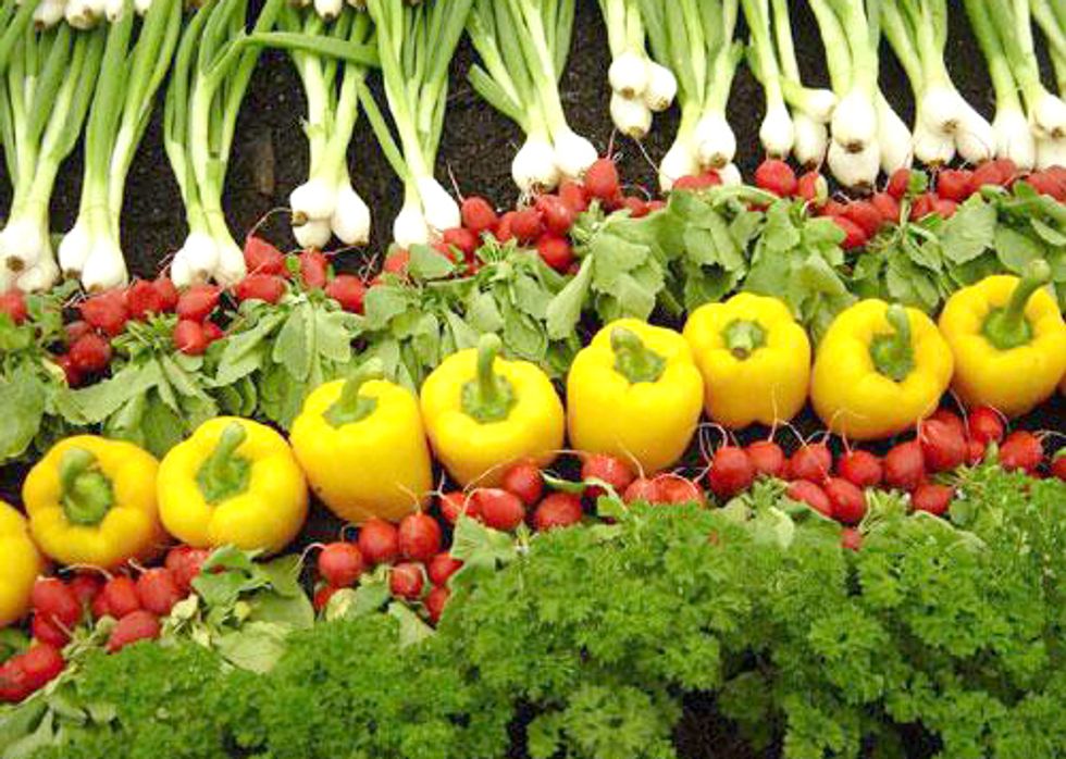 Organic Sector a Surging Component of Agricultural Economy