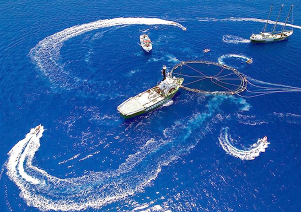 Charting the Decline of Bluefin Tuna