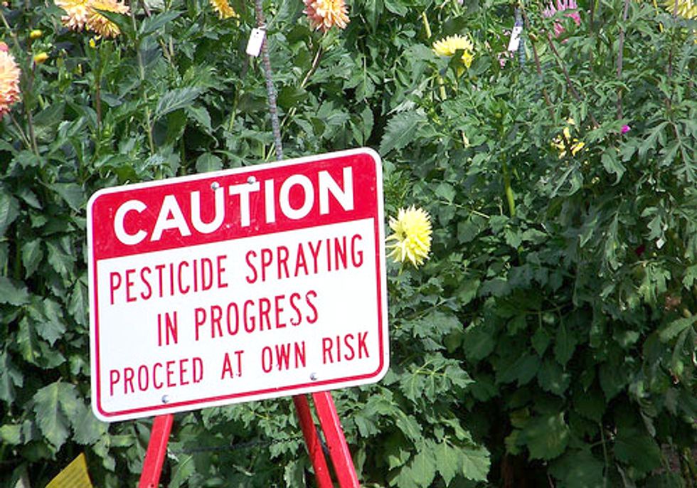 Shopper's Guide to Pesticides in Produce