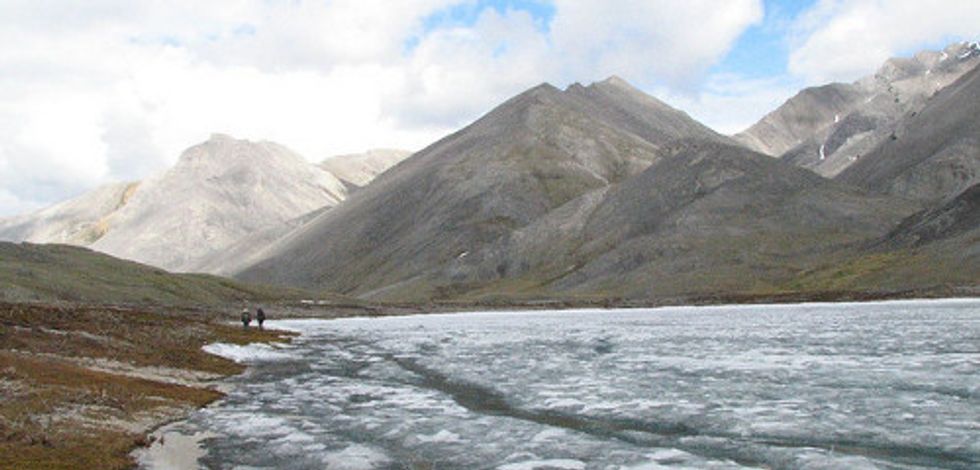 Arctic National Wildlife Refuge in Danger Again