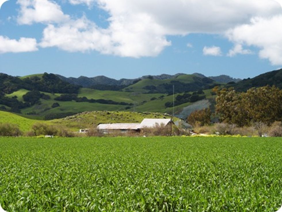 56 Organizations Urge Congress to Protect Agricultural Conservation