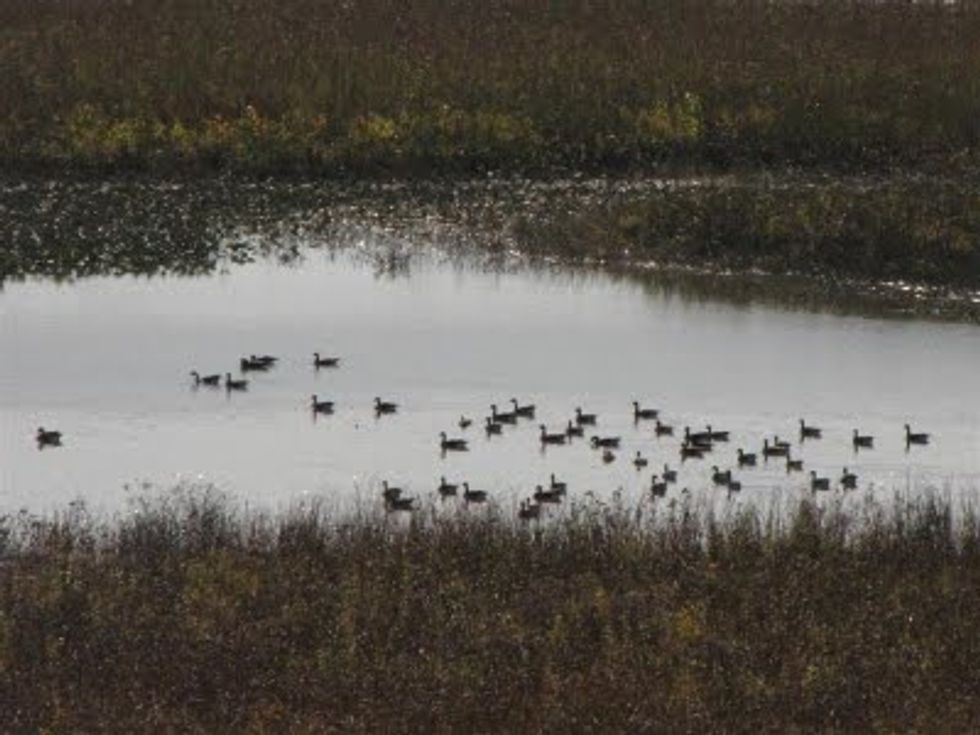Patuxent Riverkeeper Wins Major Legal Victory